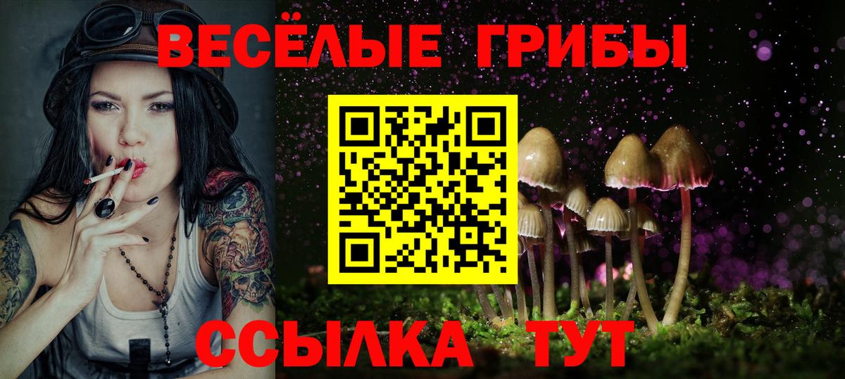Галлюциногенные грибы MAGIC MUSHROOMS  Вход с VPN  Мичуринск 