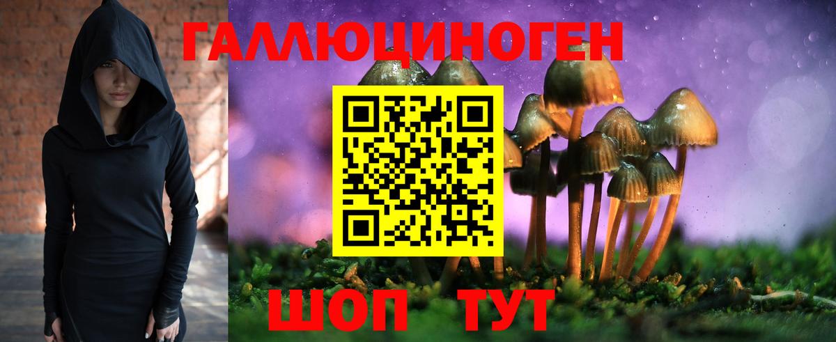 Меф Мичуринск
