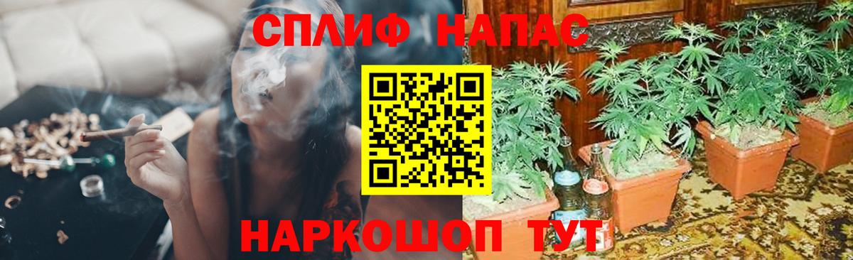 Конопля Bruce Banner  Шишки марихуана Bruce Banner  Мичуринск  Вход с VPN  Марихуана план 